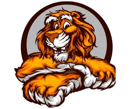Junk Tigers Hauling and Demolition